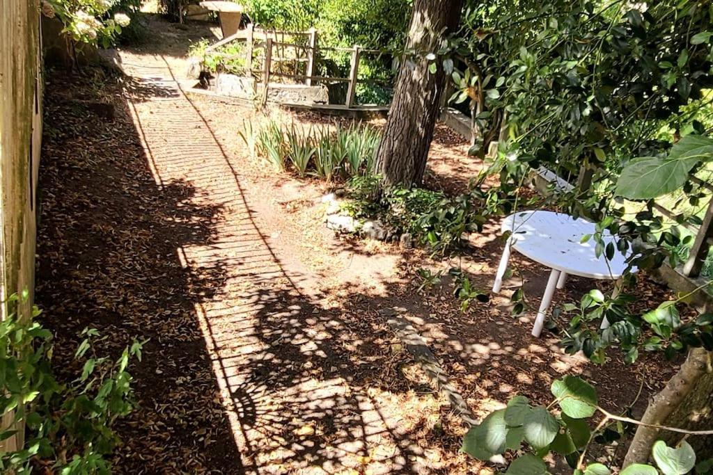 Le Bois Flotte - Maison Au Coeur De La Loire Entre Ville Et Nature โซมูร์ ภายนอก รูปภาพ
